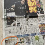 8/5発売のスポニチの表紙面に掲載されました!